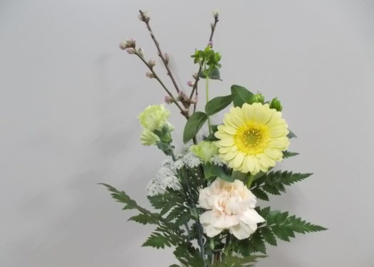今週のお花(2/25)