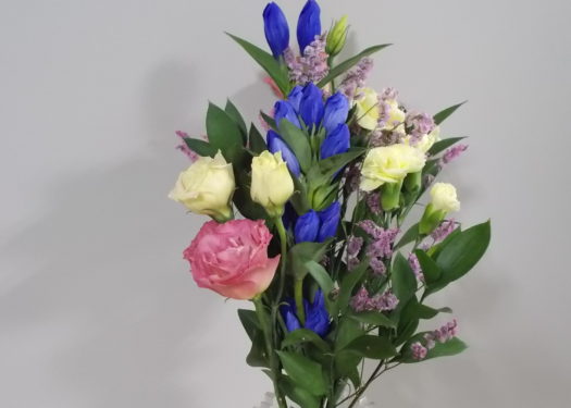 今週のお花(9/9)