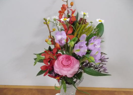 今週のお花(1/20)