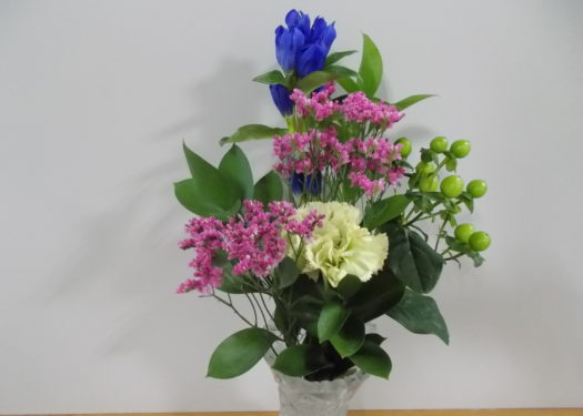今月のお花(6月)