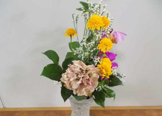今月のお花(8月)