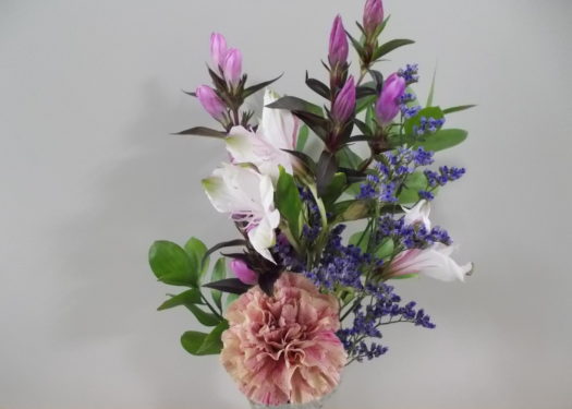 今月のお花(11月②)