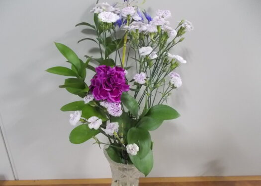 今月のお花(7月)