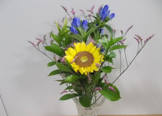 今月のお花(8月)